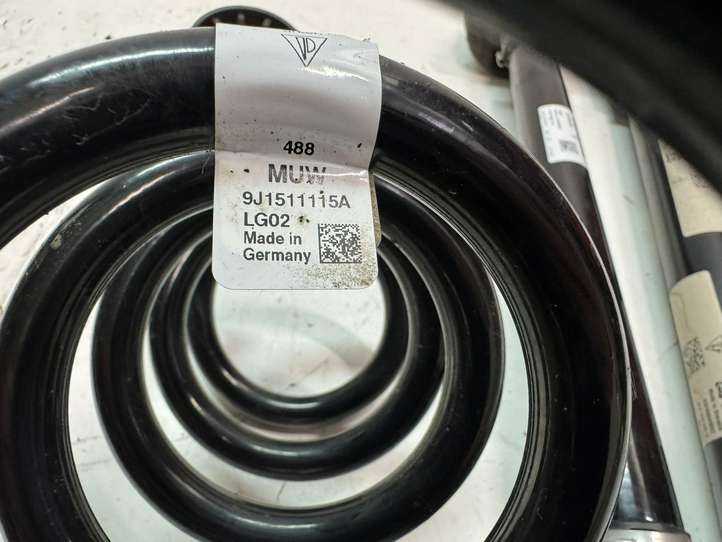 Audi e-tron GT (2020 - )  976505371 Задний поворотный кулак (ступица, цапфа)