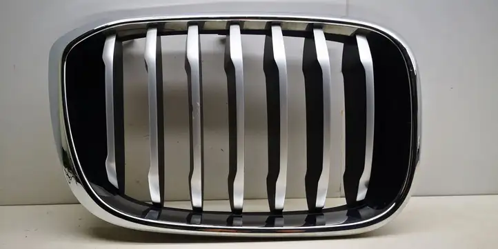 BMW X4 G02 (2018 - ) 19297610 Верхняя решетка радиатора — фото 1