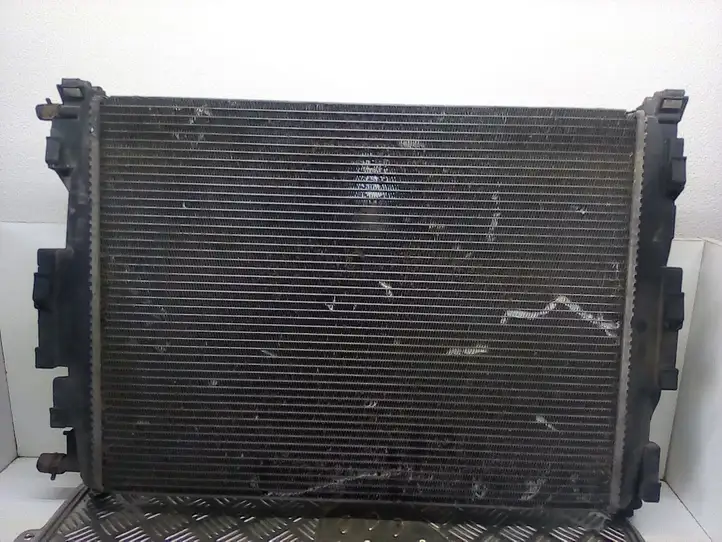 Renault Scenic II - Grand scenic II (2003 - 2006) 8200117609 Радиатор охлаждающей жидкости двигателя — фото 1