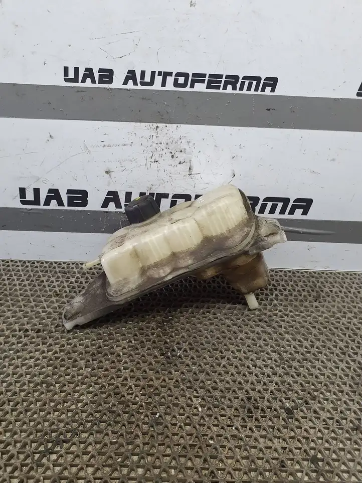 Nissan Juke I F15 (2010 - 2018) 217101KK0A Расширительный бачок — фото 2