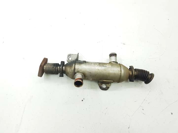Peugeot 307 (2001 - 2005)  9639874380 Охладитель EGR