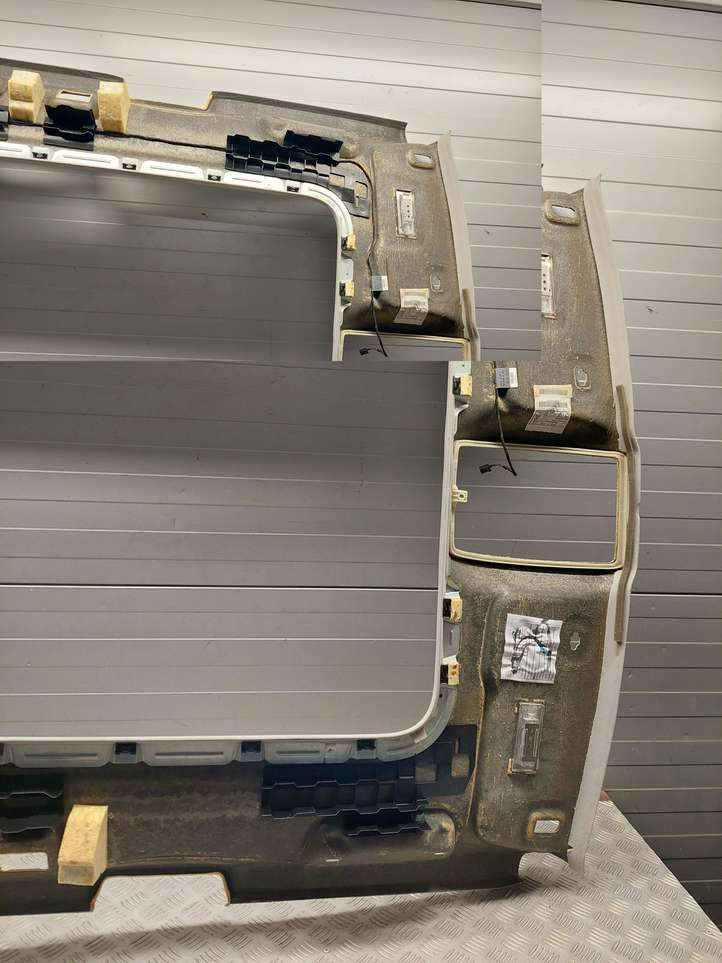 Audi Q5 (2012 - 2017)  8R0867501AA Потолок