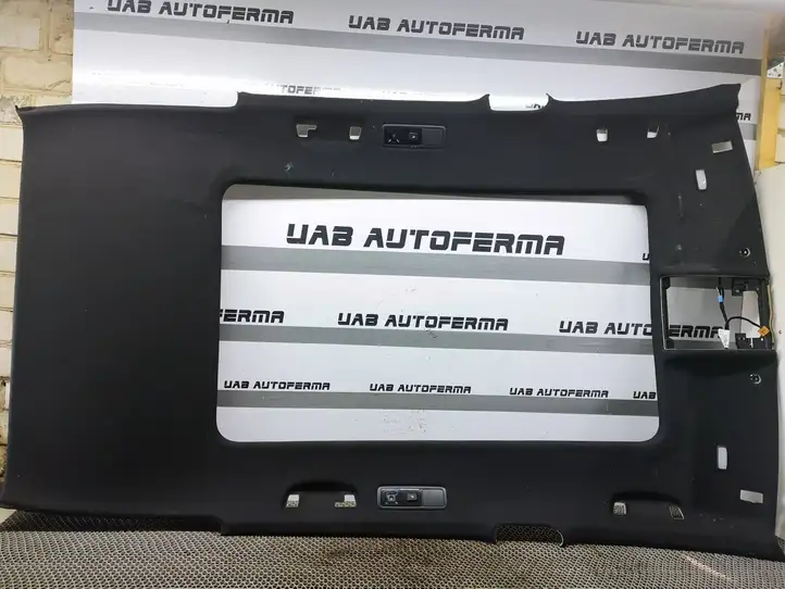 Volkswagen Tiguan (2016 - 2020) 5NA867501Q Потолочная обшивка — фото 1