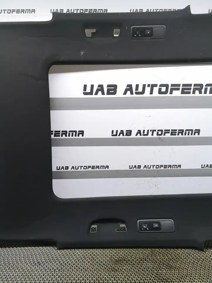 Volkswagen Tiguan (2016 - 2020) 5NA867501Q Потолочная обшивка — фото 12