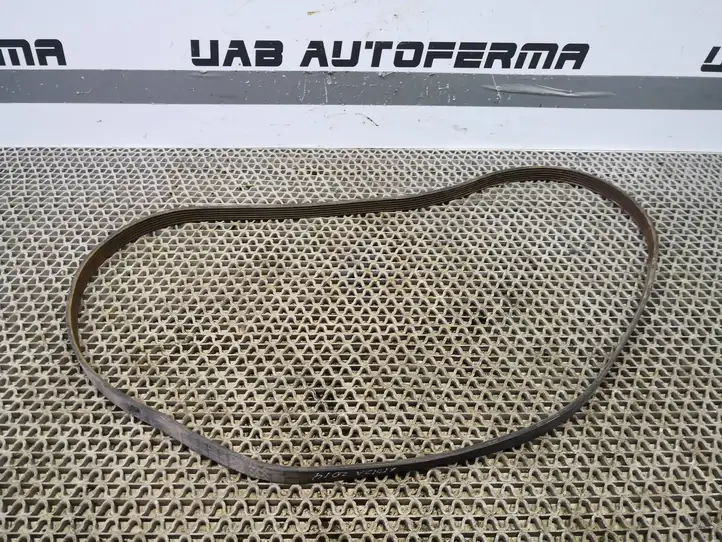 Seat Ibiza IV (6J,6P) (2008 - 2017) 03F260849B Ремень генератора — фото 1