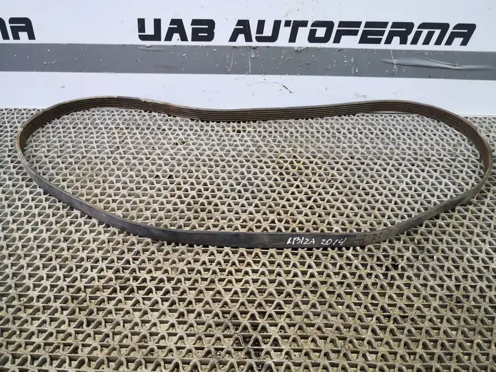 Seat Ibiza IV (6J,6P) (2008 - 2017) 03F260849B Ремень генератора — фото 3