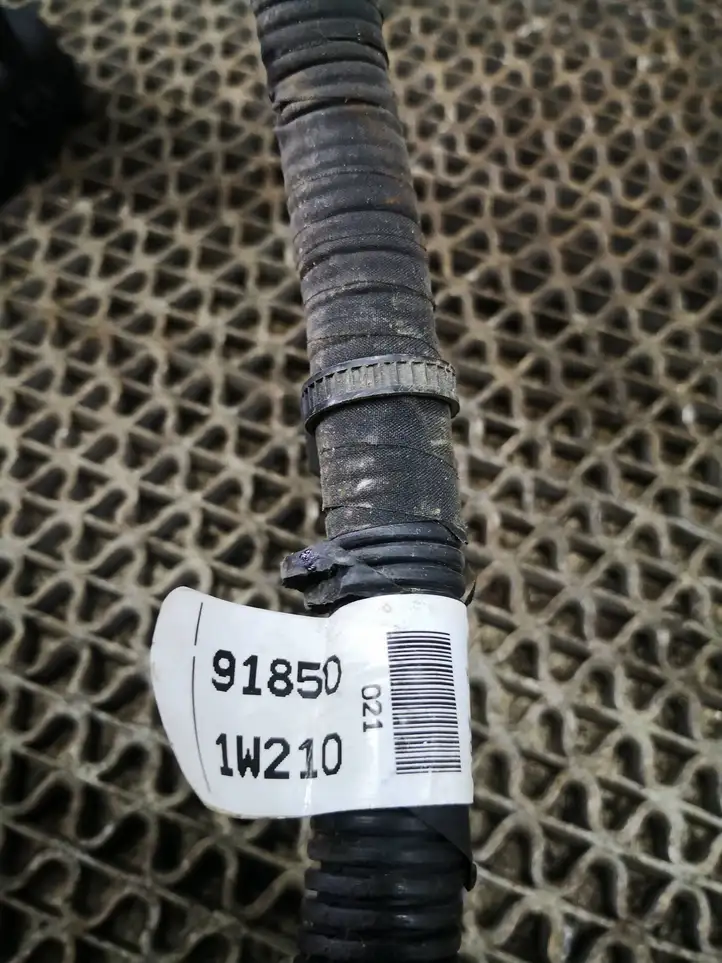 Kia Rio (2011 - 2015) 918501W210 Плюсовой провод аккумулятора — фото 2