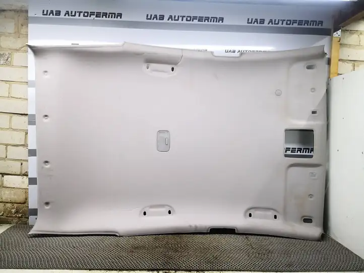 Hyundai i30 (2012 - 2015) 195050201 Потолочная обшивка — фото 1