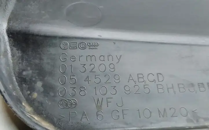 Volkswagen Golf IV (1998 - 2005) 038103925 Крышка двигателя декоративная — фото 3