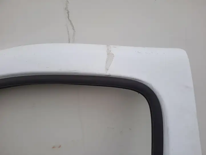 Renault Trafic II (X83) (2002 - 2014) Дверь — фото 3