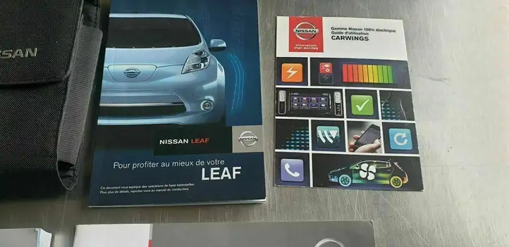 Nissan Leaf I (ZE0) (2010 - 2017) Сервисная книжка — фото 3