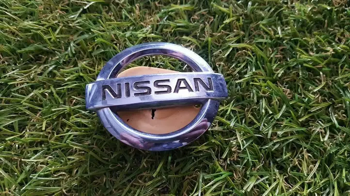 Nissan Leaf I (ZE0) (2010 - 2017) Эмблемы и надписи — фото 1