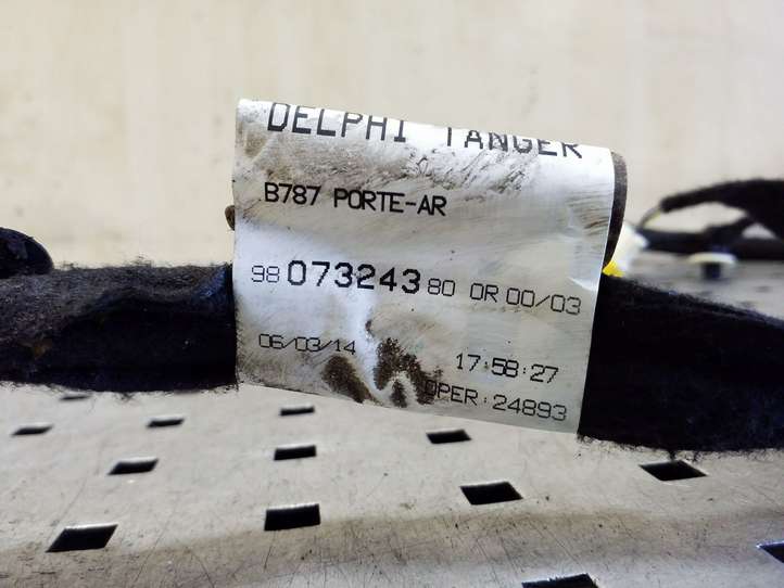 Citroen C4 Picasso (2013 - 2016)  9807324380 Проводка задних дверей