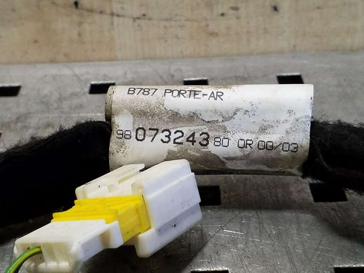 Citroen C4 Picasso (2013 - 2016)  9807324380 Проводка задних дверей