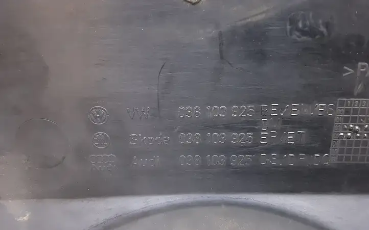 Volkswagen PASSAT B5.5 (2001 - 2005) 038103925 Крышка двигателя декоративная — фото 3