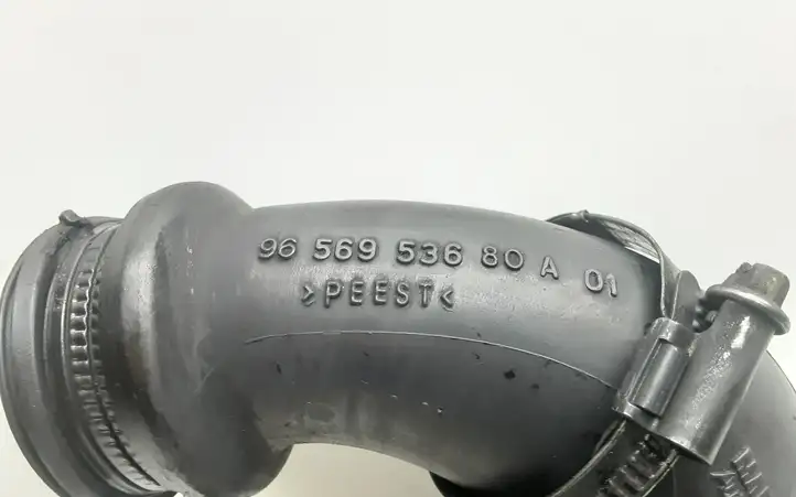 Citroen C5 (2004 - 2008) 9656953680 Трубка подачи воздуха — фото 3