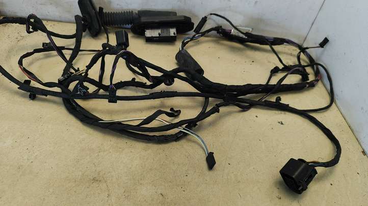 BMW 7 F01 F02 F03 F04 (2008 - 2016)  9262882 Проводка задних дверей