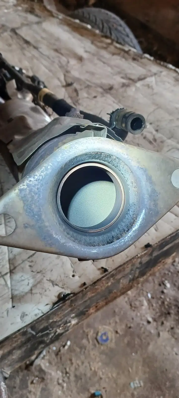Toyota Prius+ (ZVW40) (2011 - 2018) Катализатор / DPF / FAP — фото 3