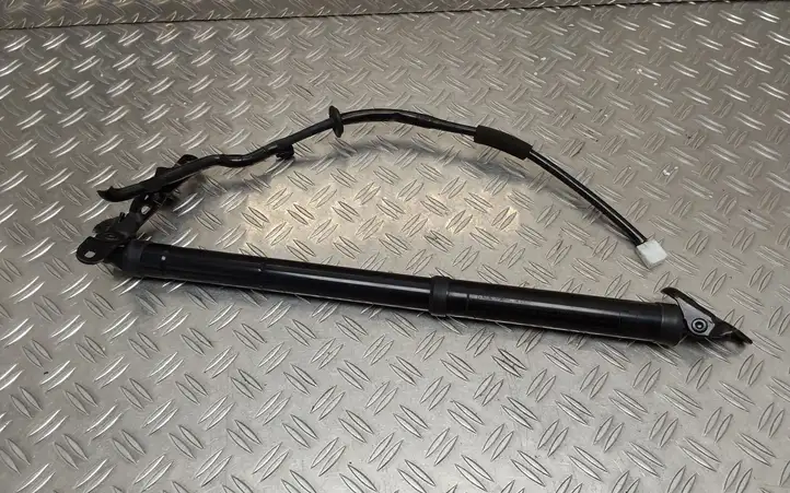 Toyota RAV 4 (XA40) (2012 - 2018) 6892042042 Амортизатор крышки багажника — фото 2