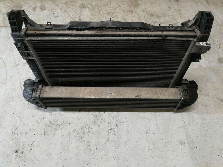 Mercedes-Benz B-class W245 (2005 - 2008)  1137328294 Комплект радиаторов