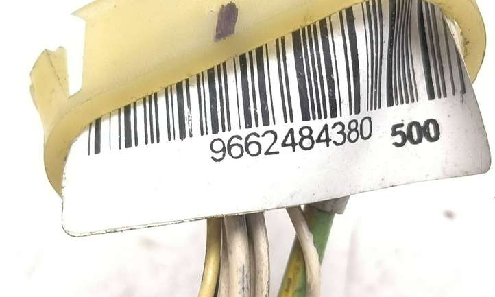 Citroen C4 (2004 - 2008)  9662484380 Проводка крышки багажника