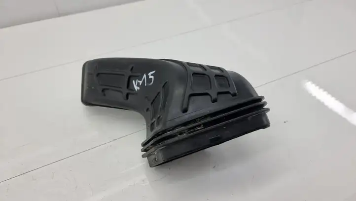 Audi Q5 SQ5 (2008 - 2012) 8R0129739 Детали воздухозаборника — фото 4