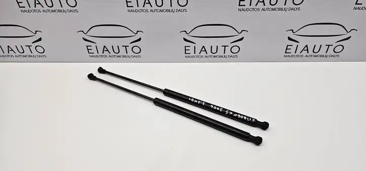 Citroen C5 (2004 - 2008) 9628059280 Газовый упор капота — фото 1