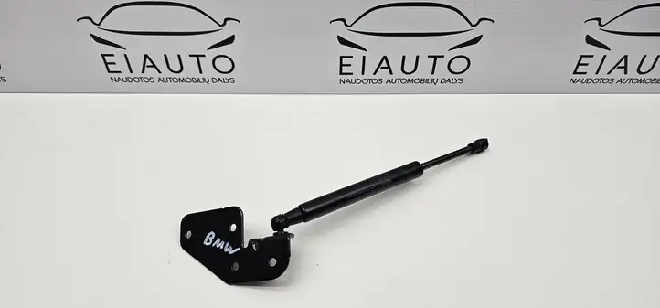 BMW X5 E70 (2006 - 2013) 9149120 Амортизатор крышки багажника — фото 5
