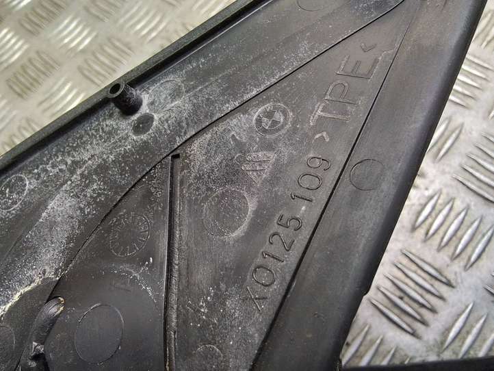 BMW 7 E65 E66 (2001 - 2008)  X0125109 Зеркало боковое с электрическим приводом