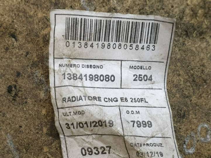 Fiat Ducato (2014 - )  1384198080 Проводка вентилятора охлаждения