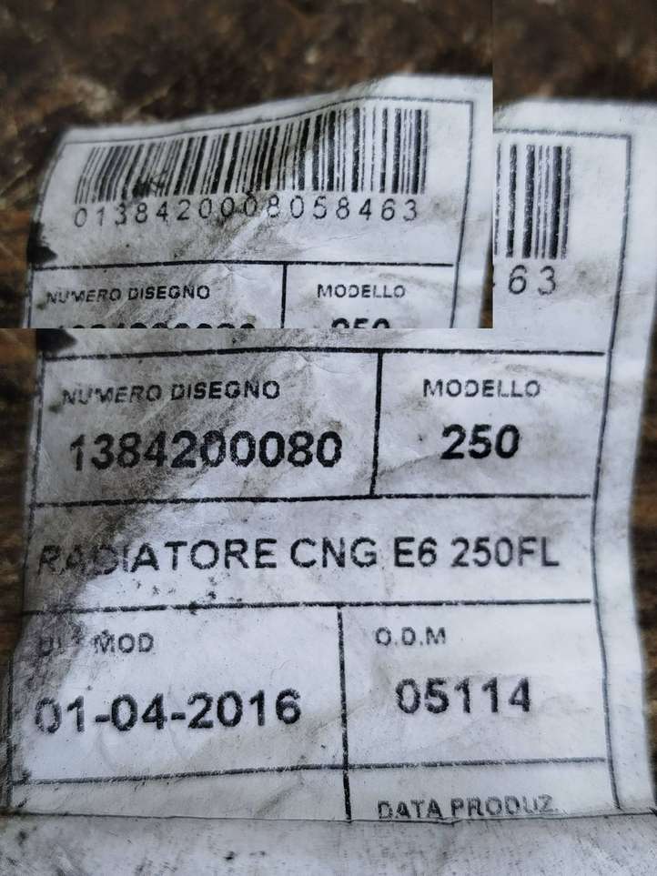 Fiat Ducato (2014 - )  1384200080 Проводка вентилятора охлаждения
