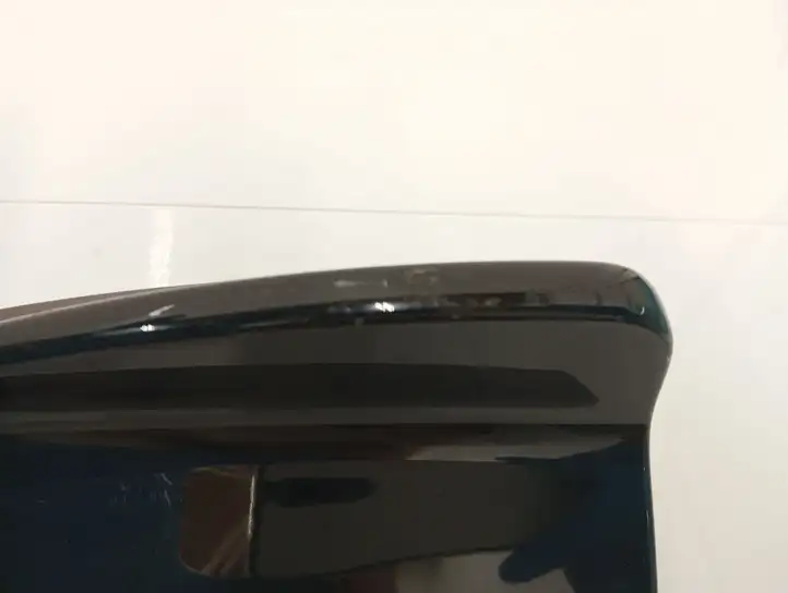 BMW 3 E90 E91 (2005 - 2012) 6941371 Крышка GPS-антенны — фото 3