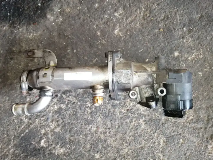 Peugeot 407 (2004 - 2011)   Клапан EGR
