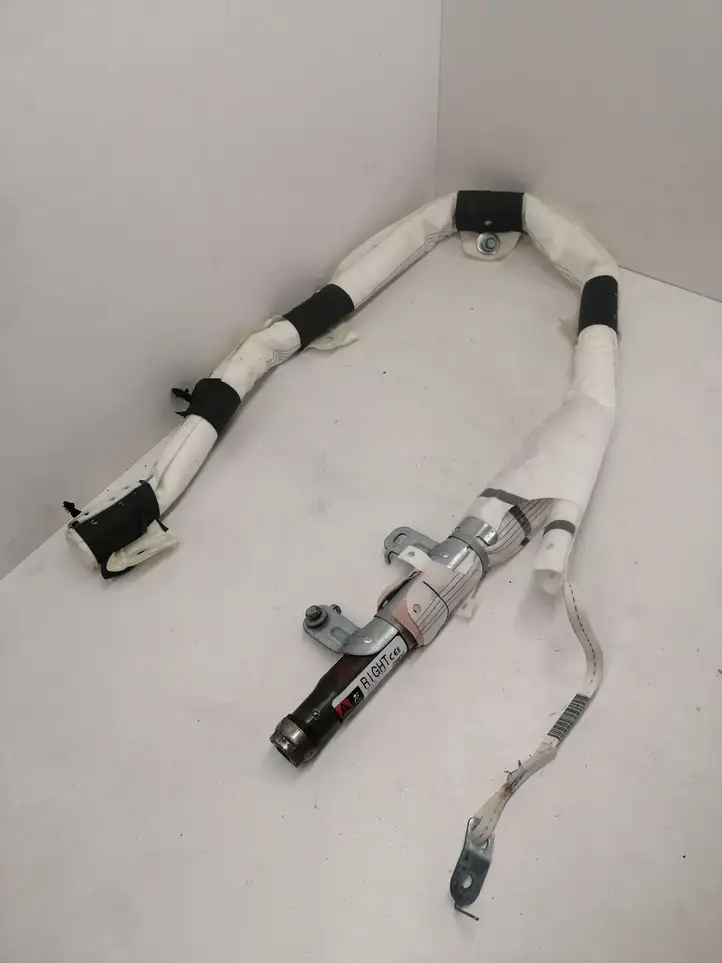 Tesla Model X (2015 - 2021) 103675900E Боковая подушка безопасности шторка — фото 1
