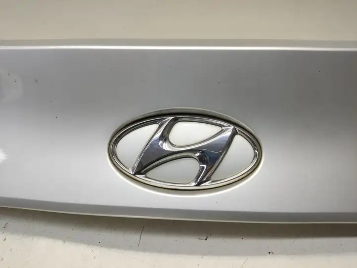 Hyundai ix35 (2009 - 2013) 873712S000 Обшивка багажника — фото 5