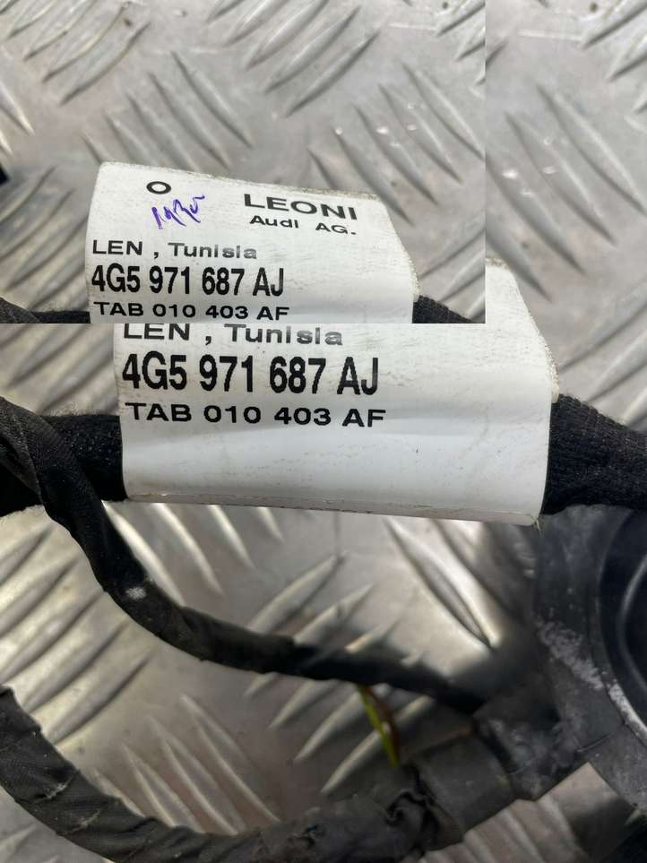 Audi A6 (2011 - 2014)  4G5971687AJ Проводка задних дверей
