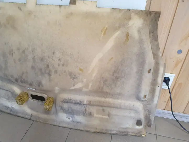 Opel Vivaro (2006 - 2014) 93859092 Потолочная обшивка — фото 3