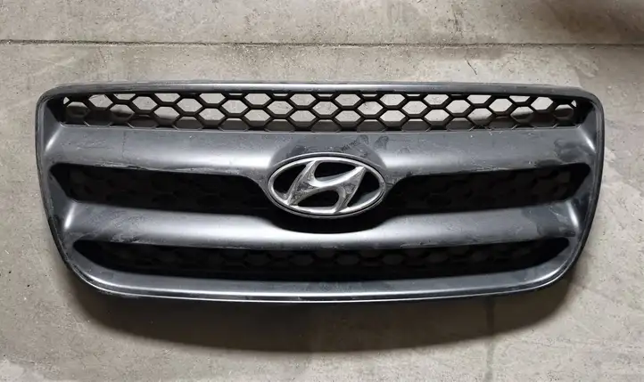 Hyundai Santa Fe (2005 - 2009) E865612B000 Верхняя решетка радиатора — фото 1