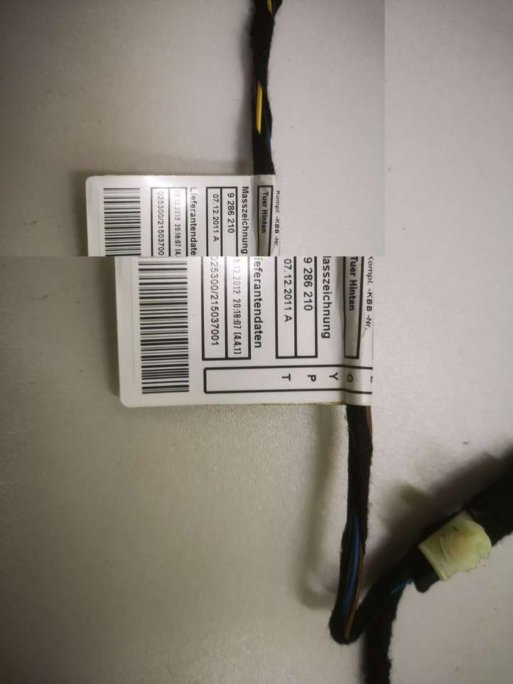 BMW 3 F30 F35 F31 (2012 - 2018)  928624901 Проводка задних дверей