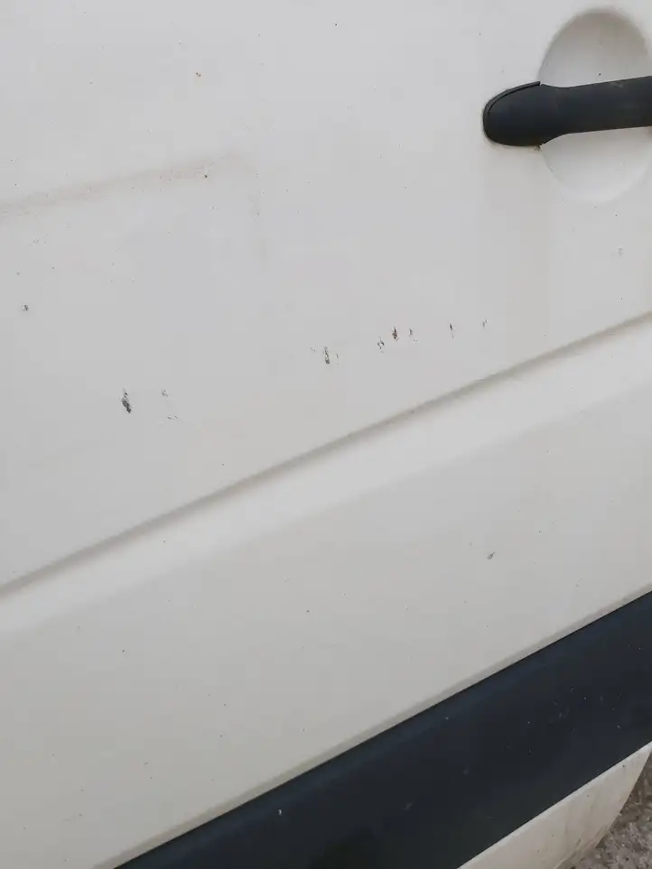 Volkswagen Crafter (2006 - 2016) Дверь — фото 2