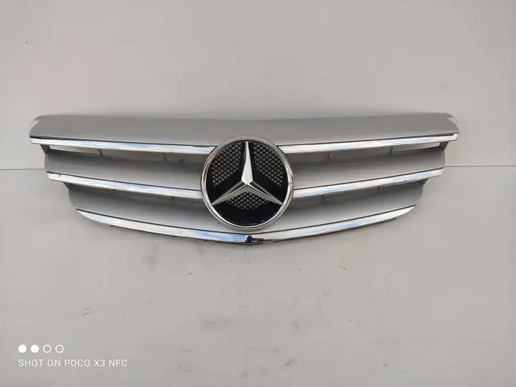 Mercedes-Benz B-class W245 (2005 - 2008) A1698800883 Передняя решетка — фото 1