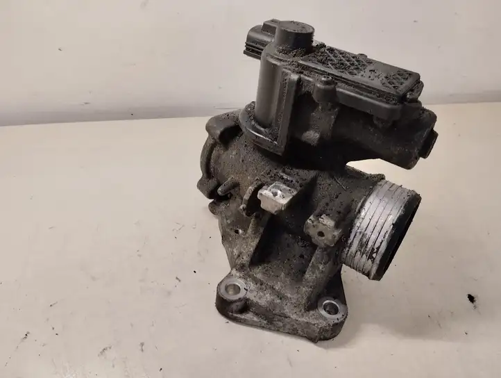 Volvo S80 (2006 - 2009) 31219874 Клапан EGR — фото 1