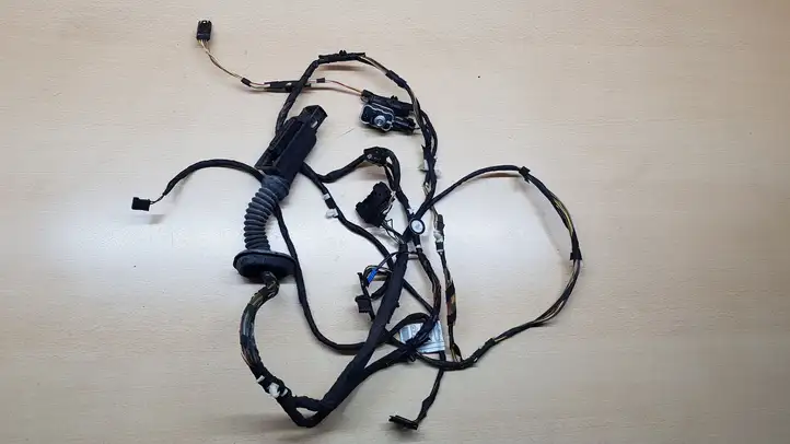 BMW 3 F30 F35 F31 (2012 - 2018) 9286245 Проводка передней двери — фото 4