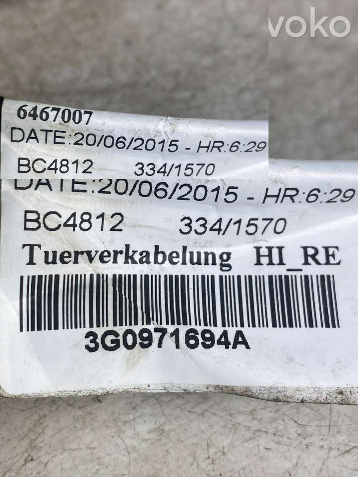 Volkswagen PASSAT B8 (2015 - )  3G0971694A Проводка задних дверей