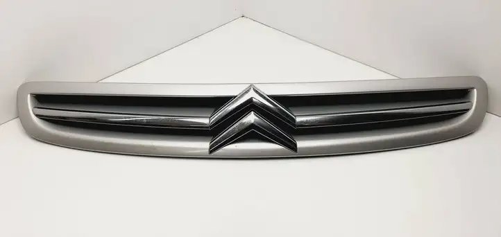 Citroen Xsara Picasso (1999 - 2012) 9650059677 Передняя решетка — фото 1