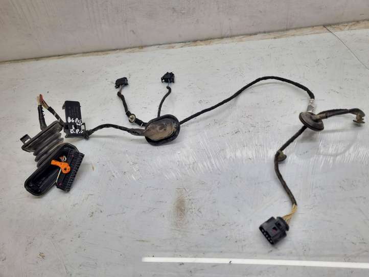 Volkswagen PASSAT B6 (2005 - 2010)  3C4971694JL Проводка задних дверей