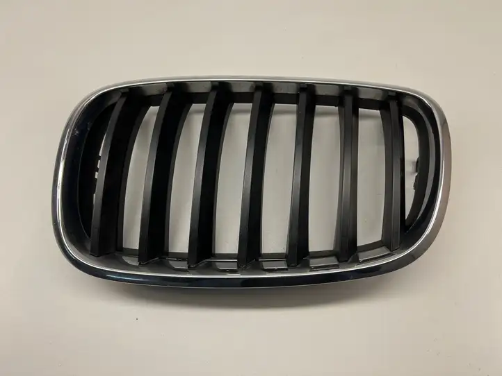 BMW X5 E70 (2006 - 2013) 51317157687 Верхняя решетка радиатора — фото 1