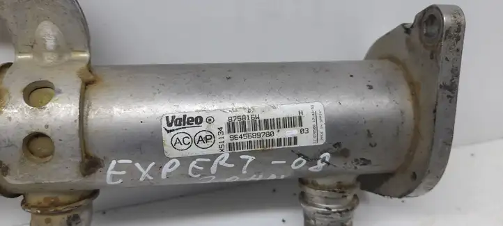 Peugeot Expert (2007 - 2016) 9645689780 Охладитель клапана EGR — фото 4