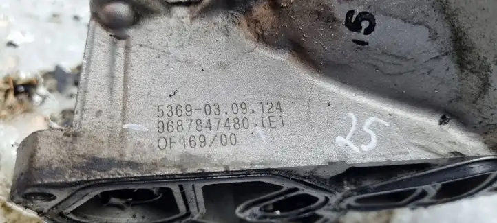 Citroen Berlingo (2008 - 2012) 9687847480 Кронштейн масляного фильтра — фото 3