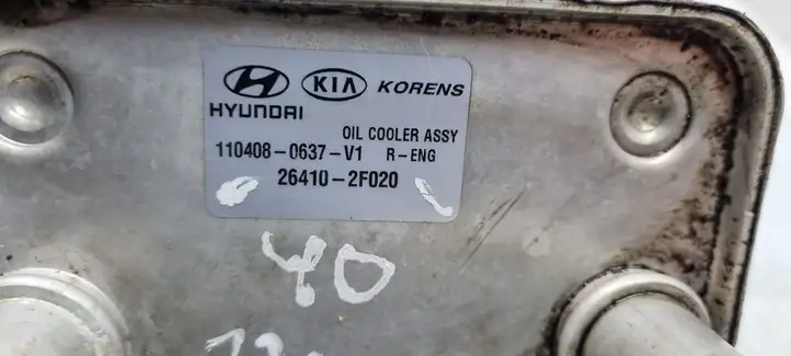 Hyundai Santa Fe (2005 - 2009) 264102F020 Кронштейн масляного фильтра — фото 4